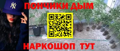 эйфоретик Славгород