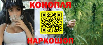 эйфоретик Славгород