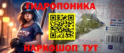 эйфоретик Славгород