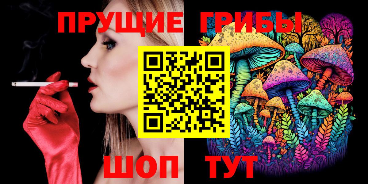 Псилоцибиновые грибы Cubensis Новороссийск