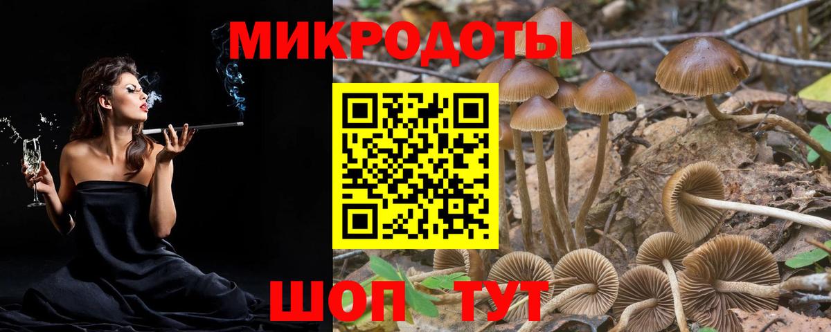 Новороссийск  Галлюциногенные грибы мицелий  Псилоцибиновые грибы MAGIC MUSHROOMS  Вход с VPN 
